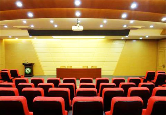 佛山某小学多功能厅安装乐锶建材铝天花